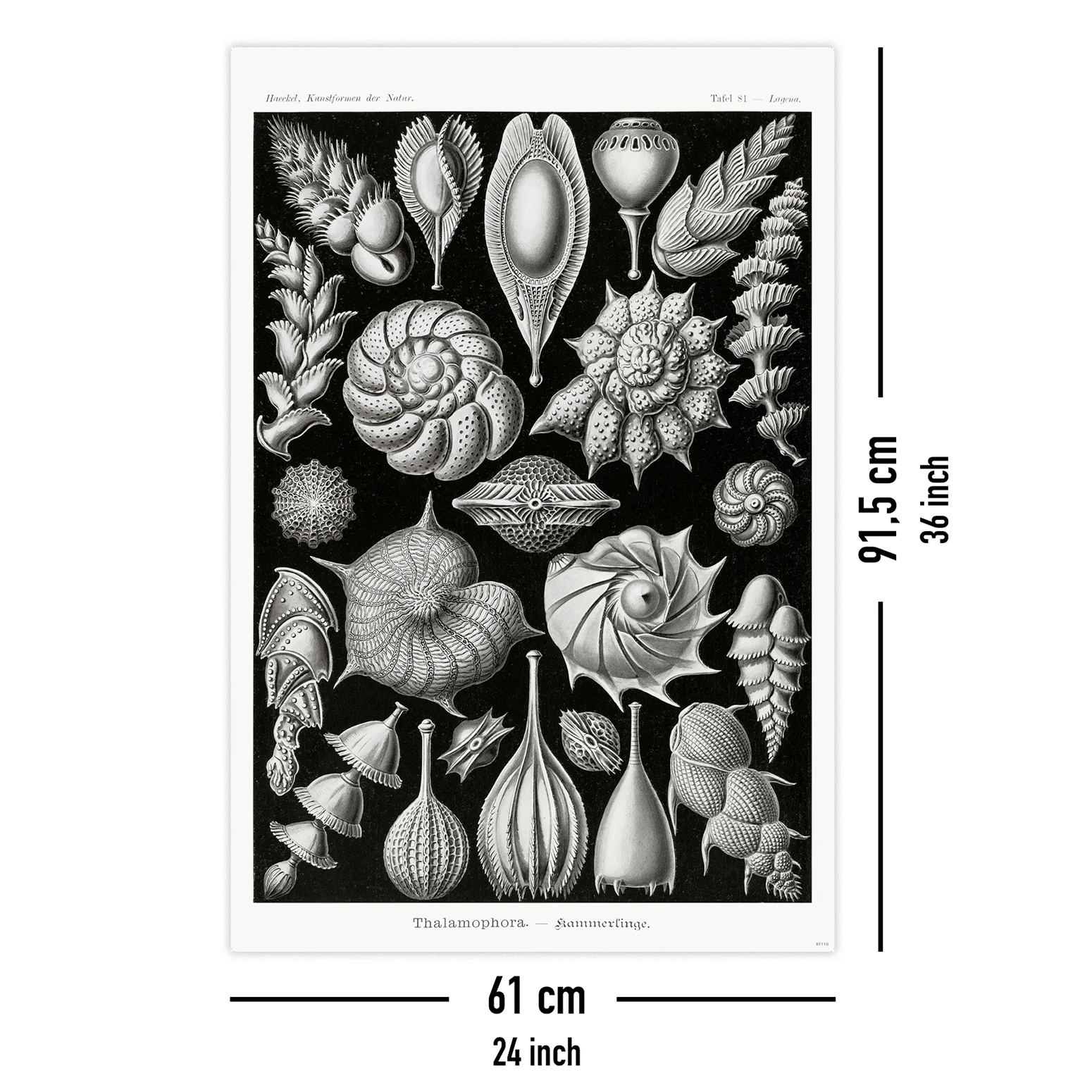 Produktbild 5
